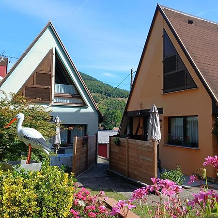 Gite Pinot Gris Et Gite Pinot Blanc Kaysersberg-Vignoble Exteriér fotografie