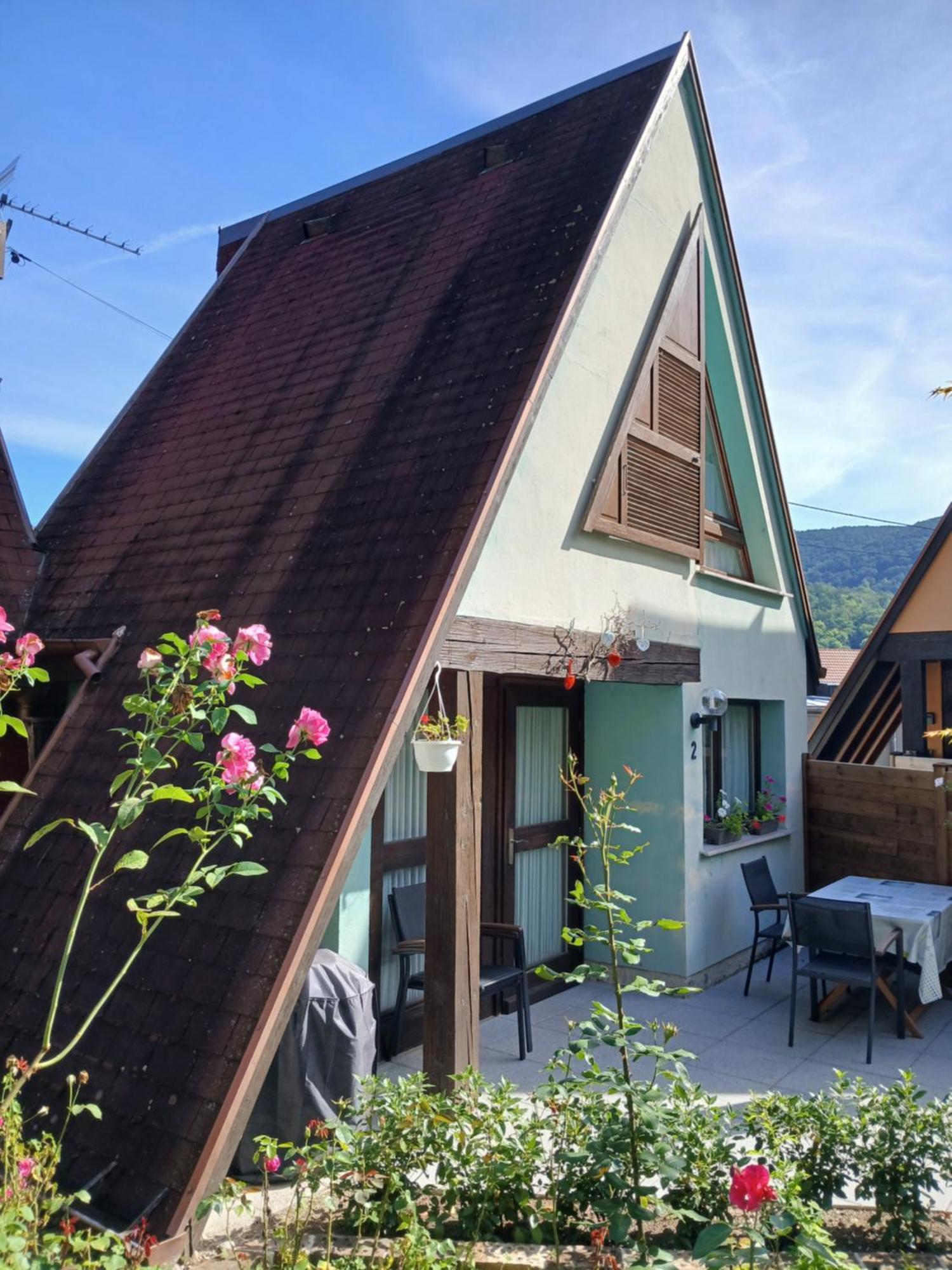 Gite Pinot Gris Et Gite Pinot Blanc Kaysersberg-Vignoble Exteriér fotografie